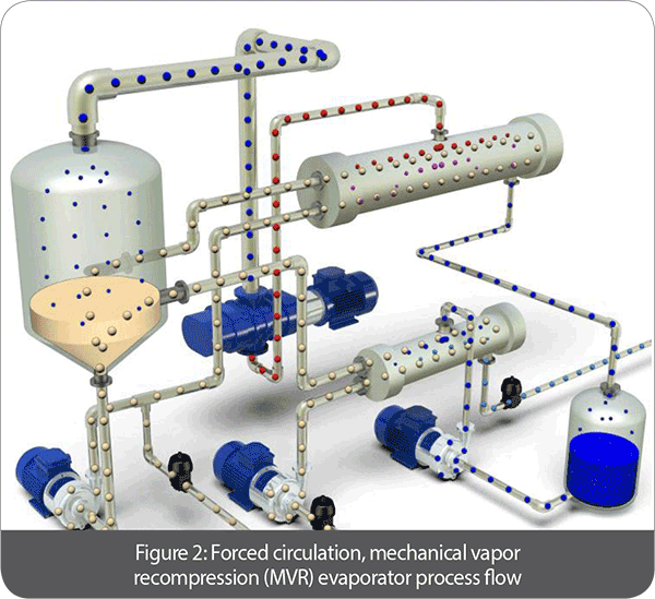 Figure 2: Forced Circulation, Mechanical Vapor Recompression (Mvr) Evaporator Process Flow | Prab.com