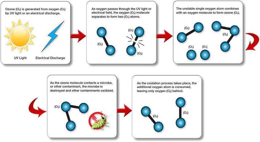 Ultraviolet Rays | Prab.com