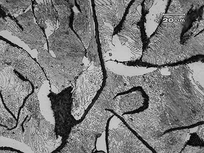 Micrograph of gray cast iron | Prab.com