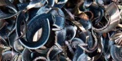 Machining Scrap Carried By Conveyors